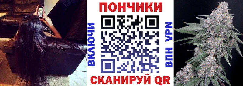 МАРИХУАНА план  ОМГ ОМГ вход  Злынка  где купить наркоту 